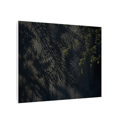 Overcast Shadow Play Canvas Art - Dark Japandi Seijaku