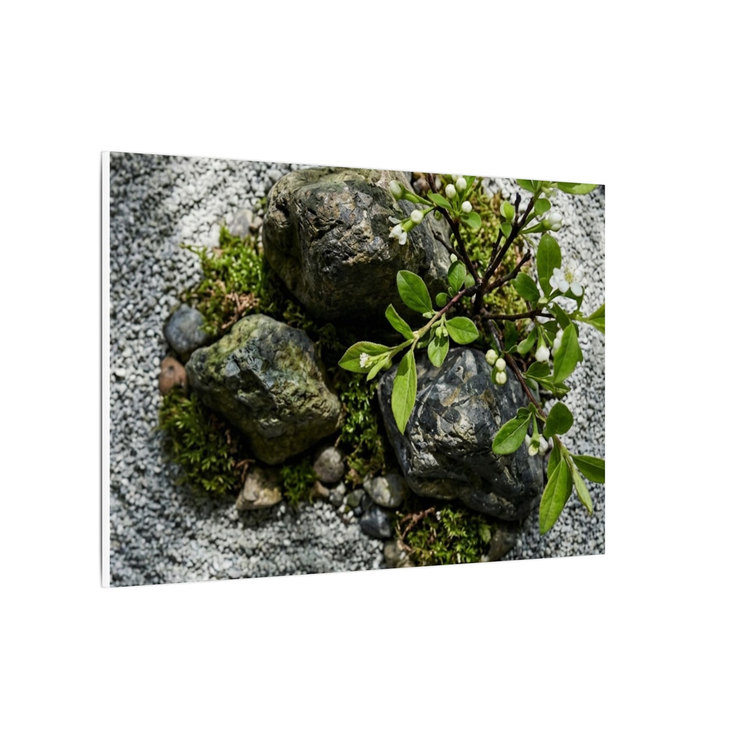 Zen Ceramic Bowl in Dappled | Karesansui Canvas Art
