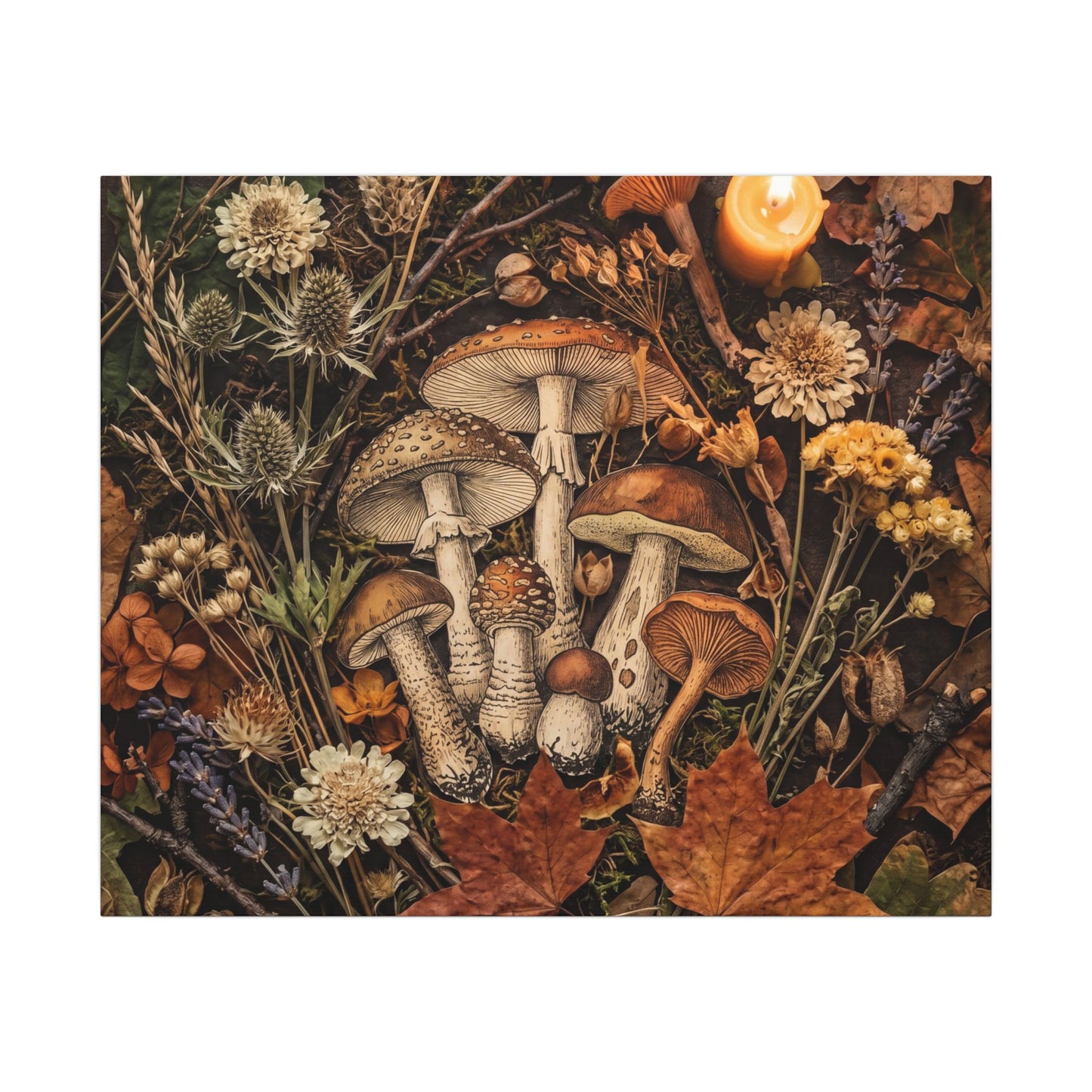 Autumn Dried Flowers Mushroom Illustration Canvas Art | Earthy Decor