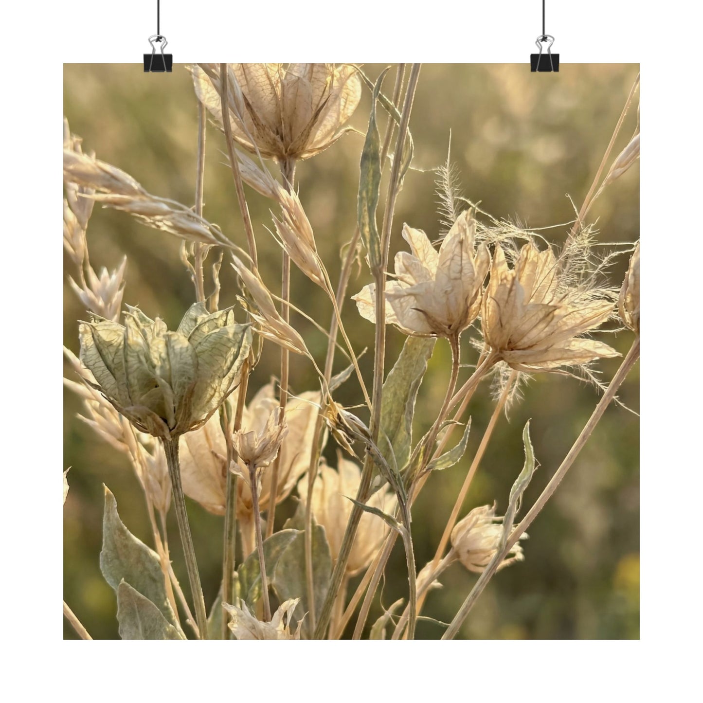 Cozy Dried Flowers Wall Art Print - Minimal Line Japandi