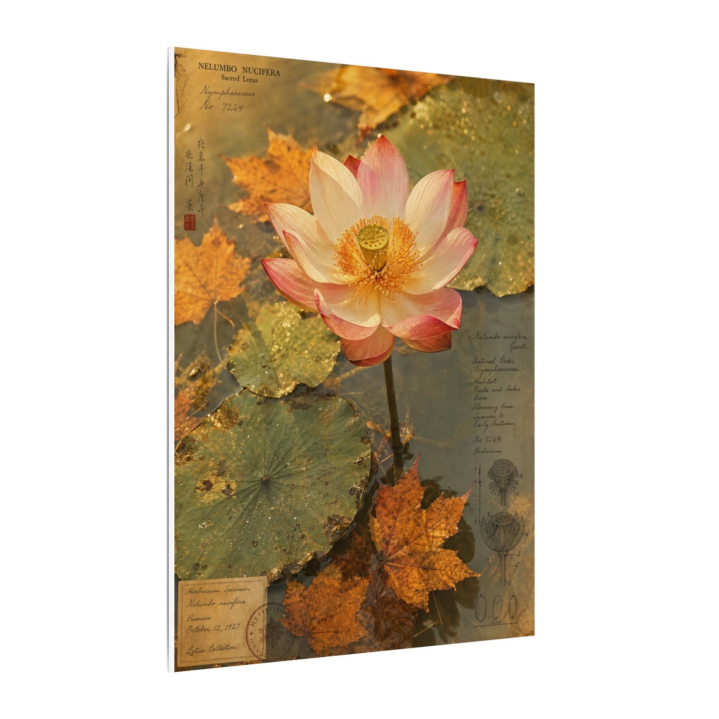 Autumn Lotus Flower Herbarium Canvas Art | Rustic Decor