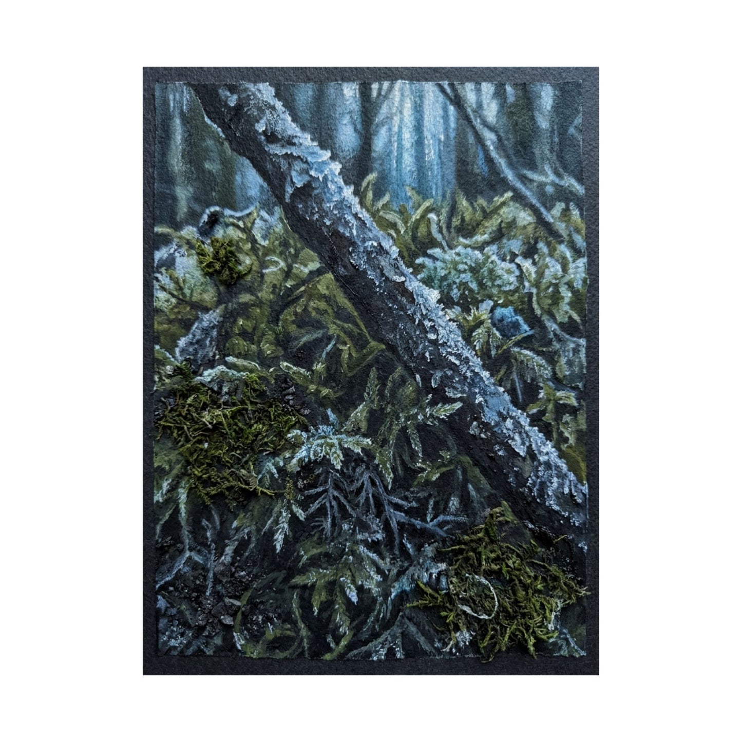 Moonlight Moss Close Up Wall Art Print - Dark Japandi Kanso