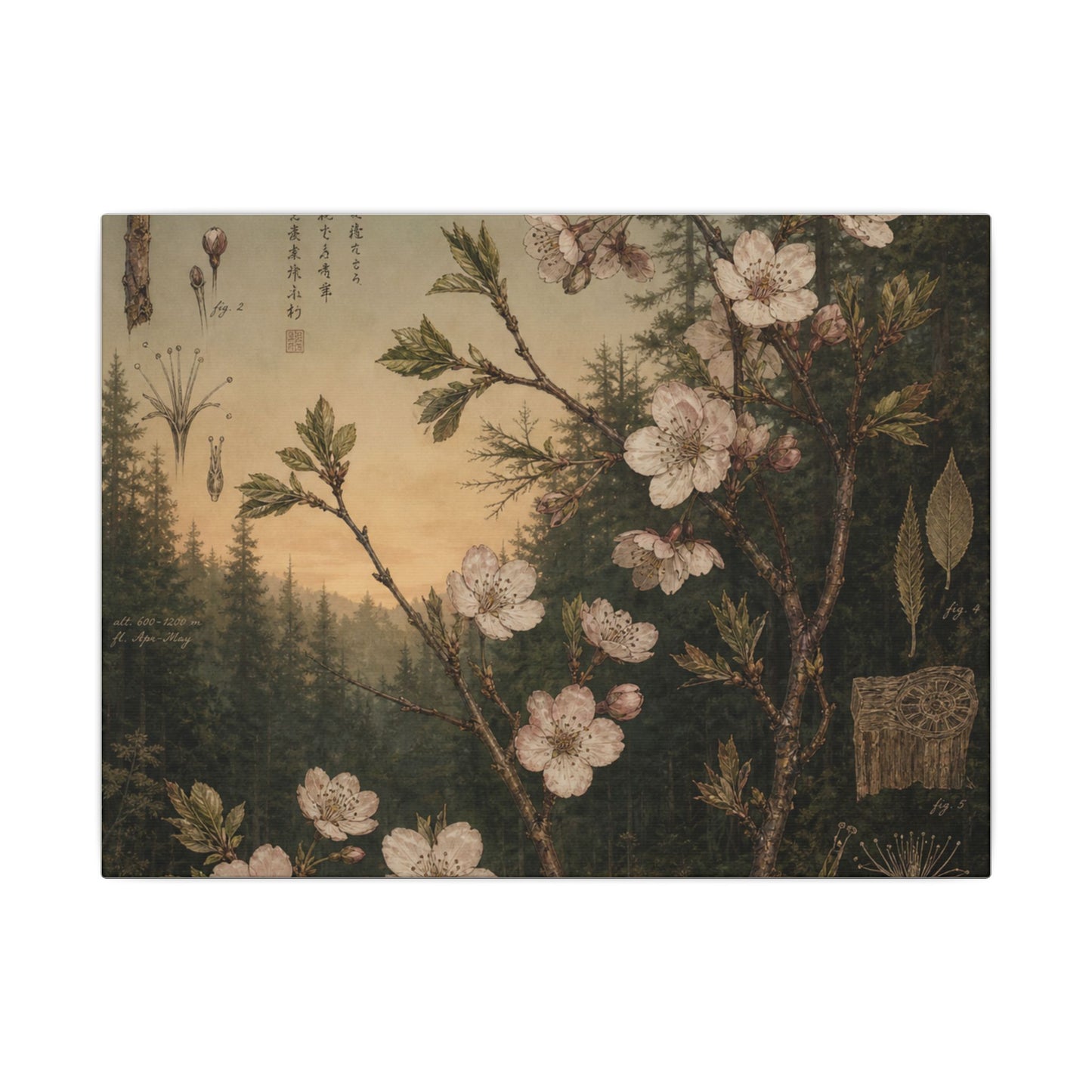 Spring Cherry Blossom Herbarium Canvas Art | Nostalgic Decor