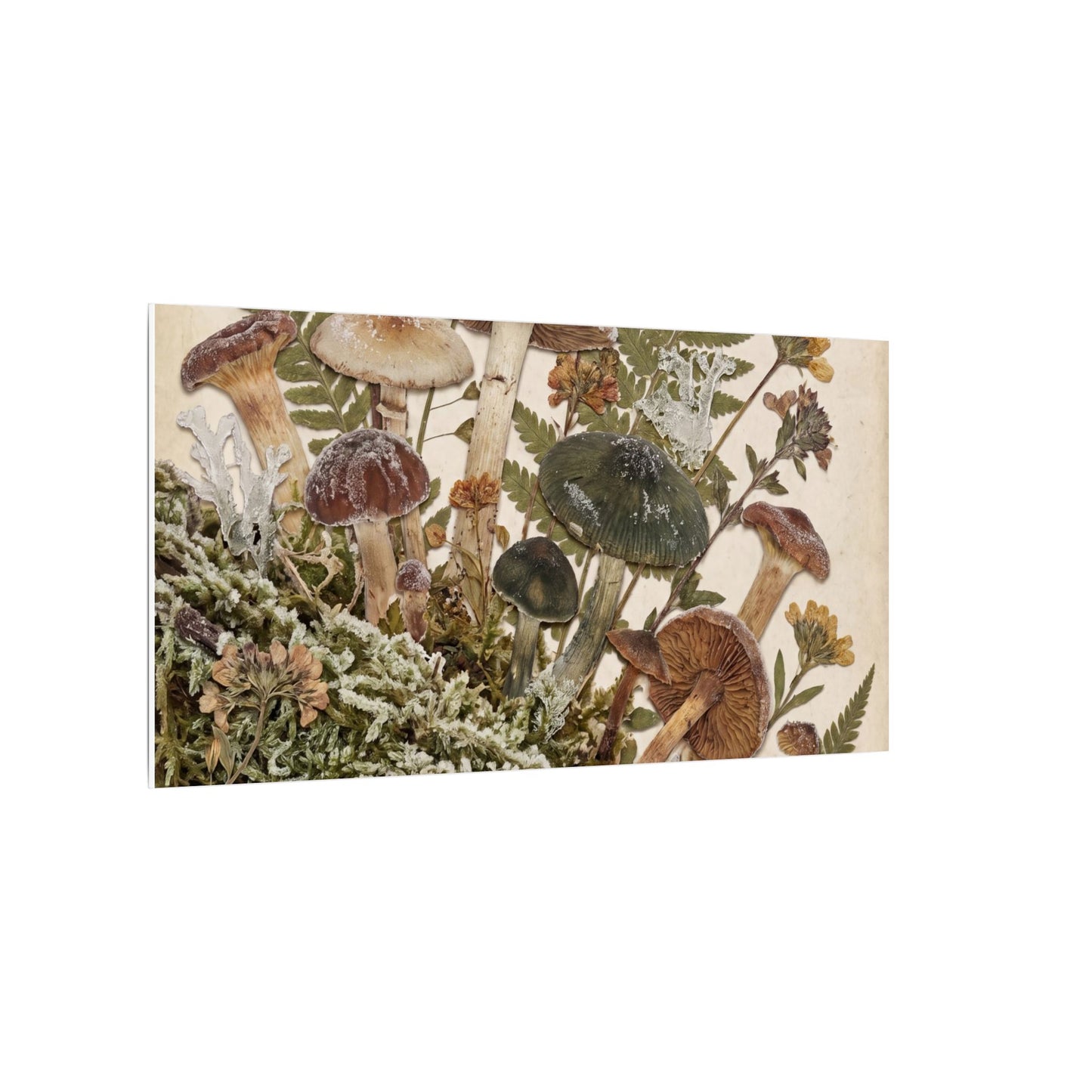 Winter Wild Mushrooms Herbarium Canvas Art | Enchanting Decor