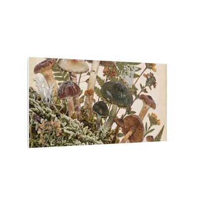 Winter Wild Mushrooms Herbarium Canvas Art | Enchanting Decor