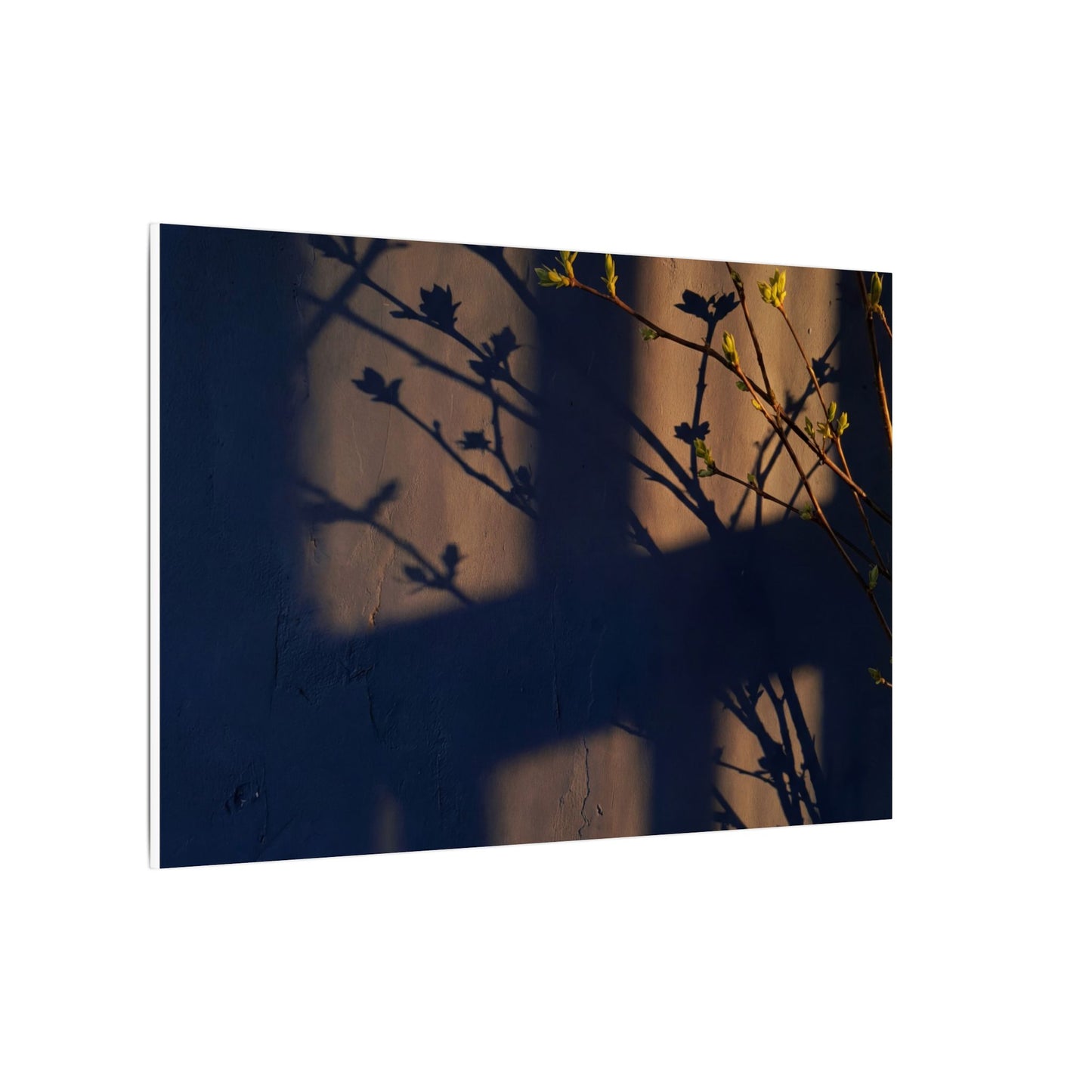 Shadow Play Canvas Art | Spring Dark Japandi Shadow Zen Art