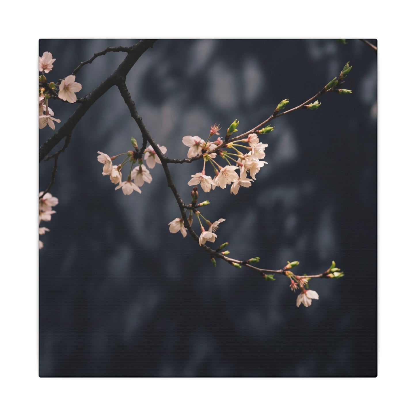 Cherry Blossom Moody Minimal Canvas Art | Bold Dark Japandi Art