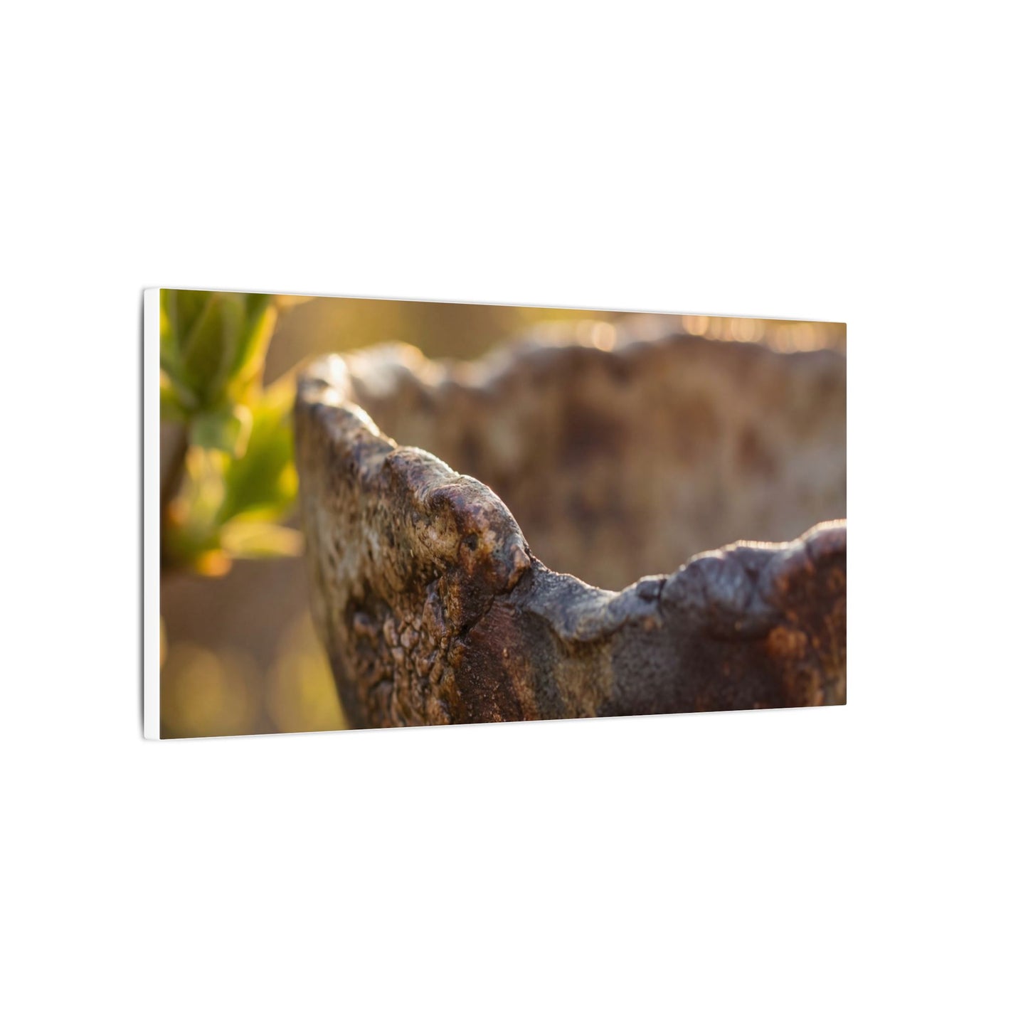 Golden Hour Ceramic Bowl Canvas Art - Dark Japandi Ma