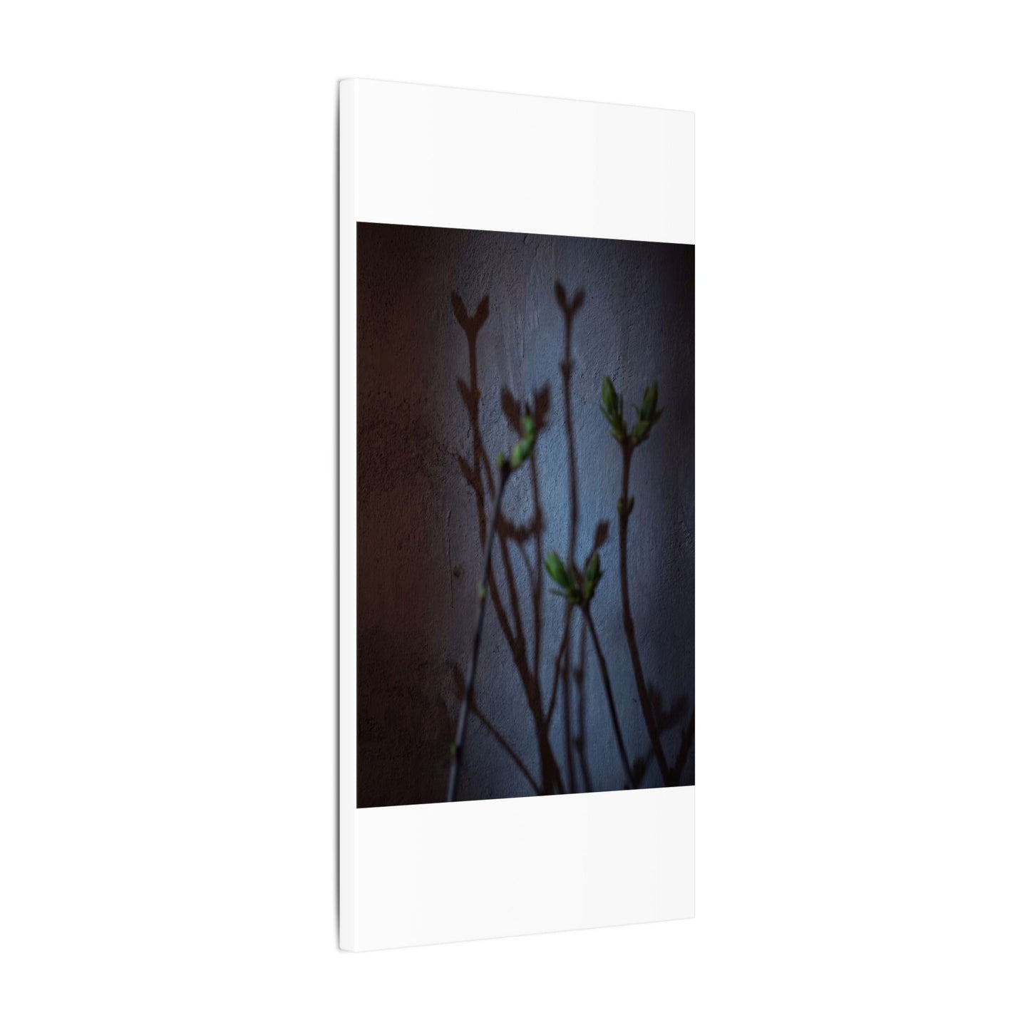 Shadow Play Spring Canvas Art | Dark Japandi Sophisticated Design