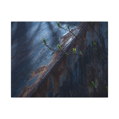 Rust Patina Canvas Art | Spring Dark Japandi Shadow Zen Art Art Print