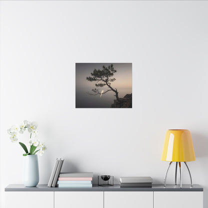 Dawn Pine Tree Canvas Art - Dark Japandi Datsuzoku