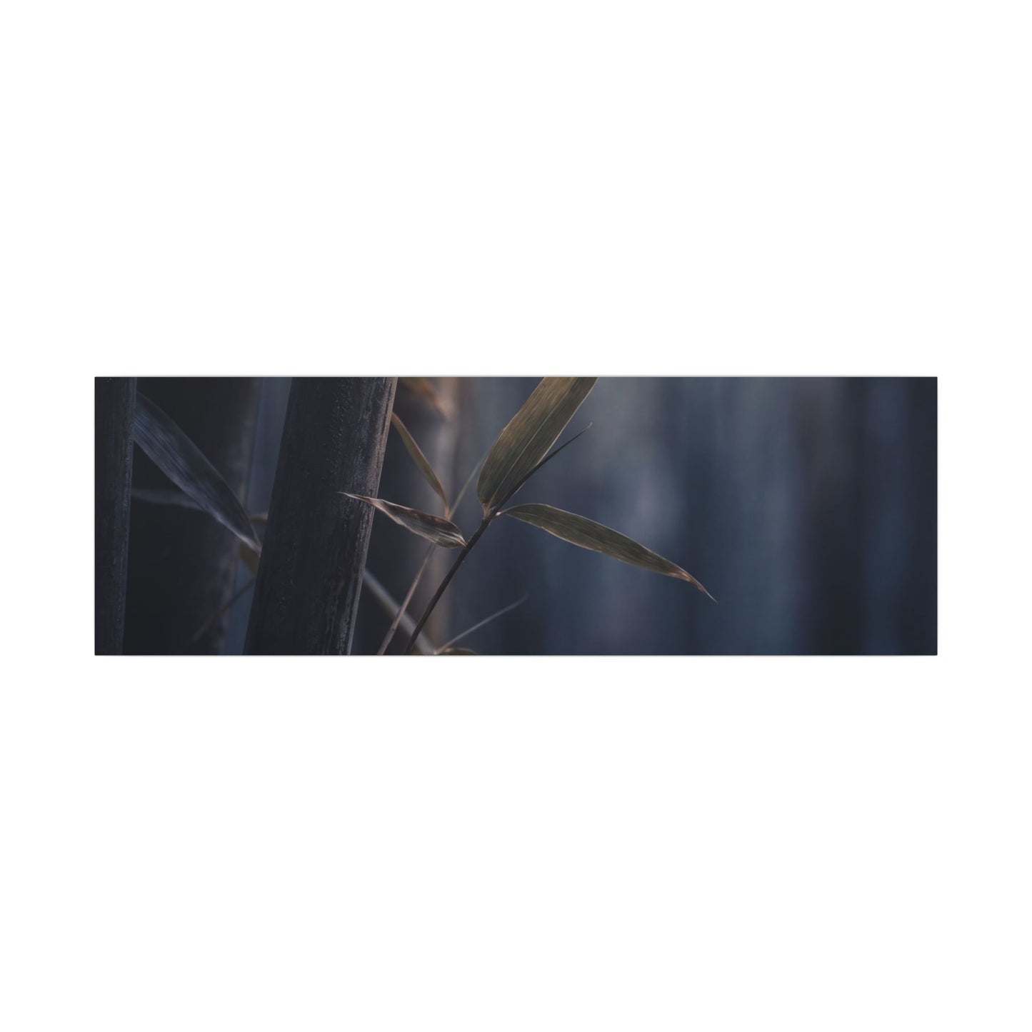 Dark Japandi Bamboo Grove in Dawn | Moody Minimal Canvas Art