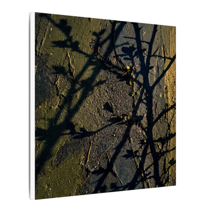 Kanso Shadow Play Canvas Art - Dark Japandi Dark Texture