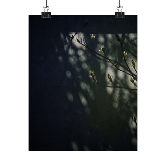 Shoji Screen Wall Art Print | Spring Dark Japandi Moody Minimal Art Art Print