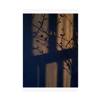 Shibui Shadow Play Wall Art Print - Dark Japandi Shadow Zen