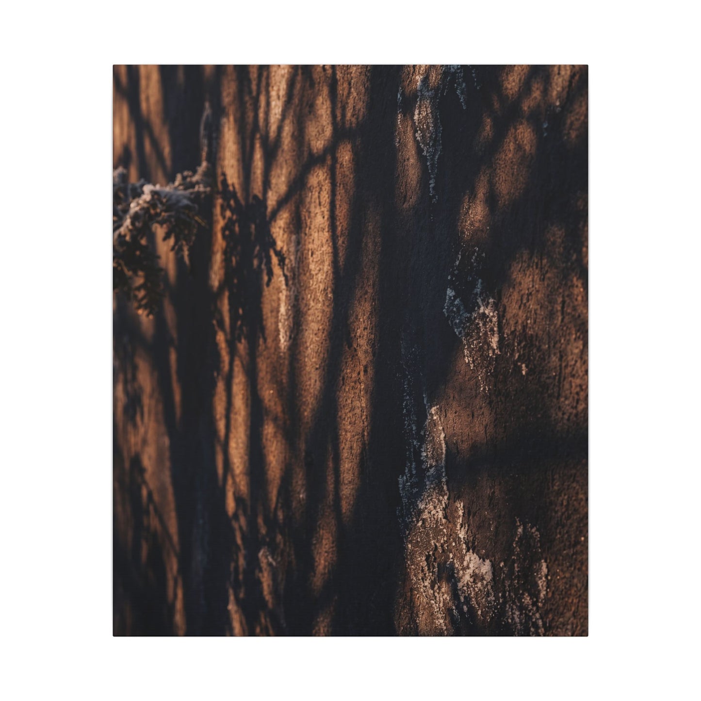 Golden Hour Shadow Play Canvas Art - Dark Japandi Fukinsei