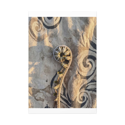 Fern Unfurling Canvas Art | Winter Japandi Japanese Pattern Art