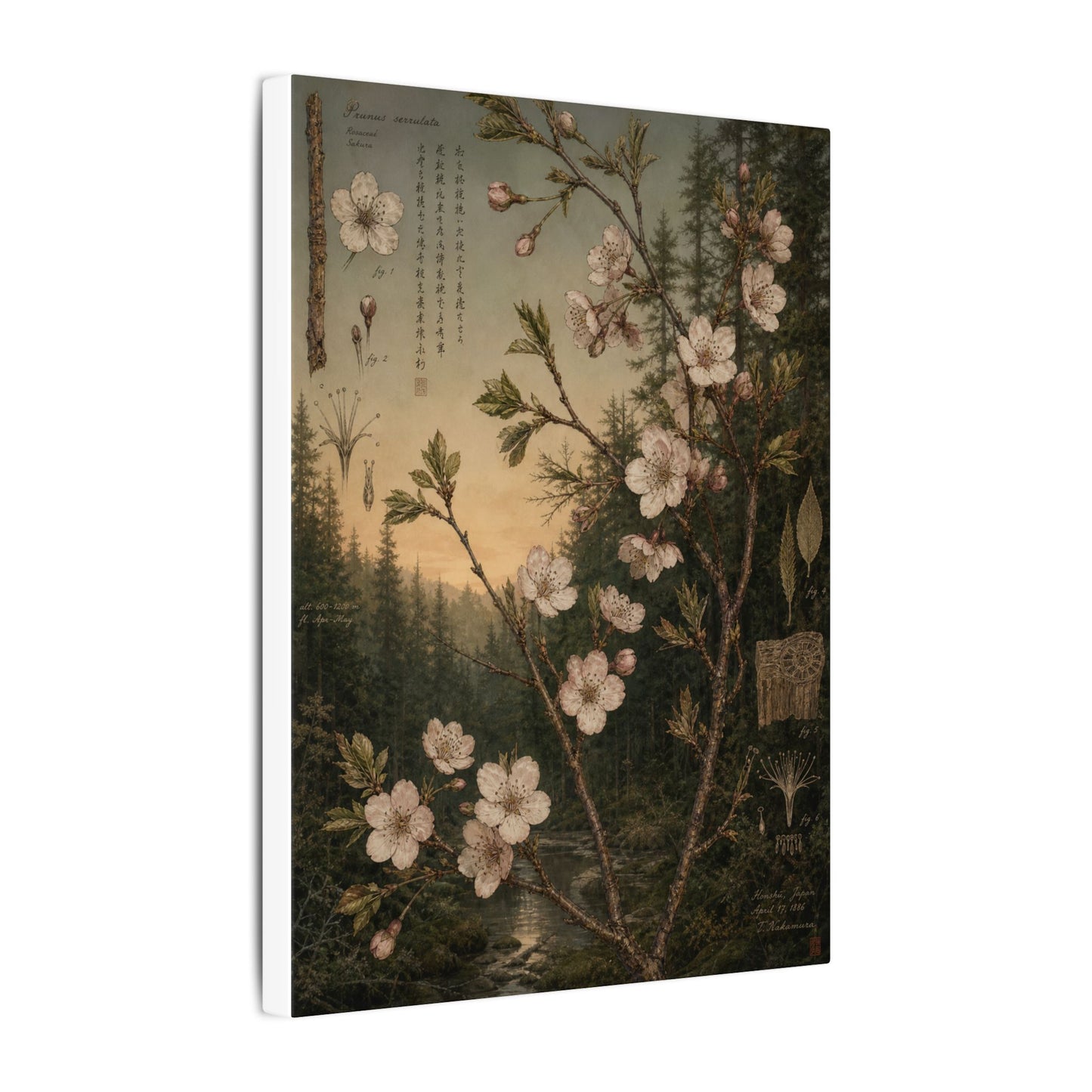 Spring Cherry Blossom Herbarium Canvas Art | Nostalgic Decor