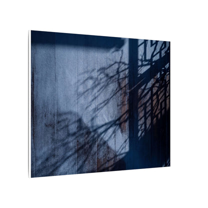 Shadow Play Moody Minimal Canvas Art | Moody Dark Japandi Art