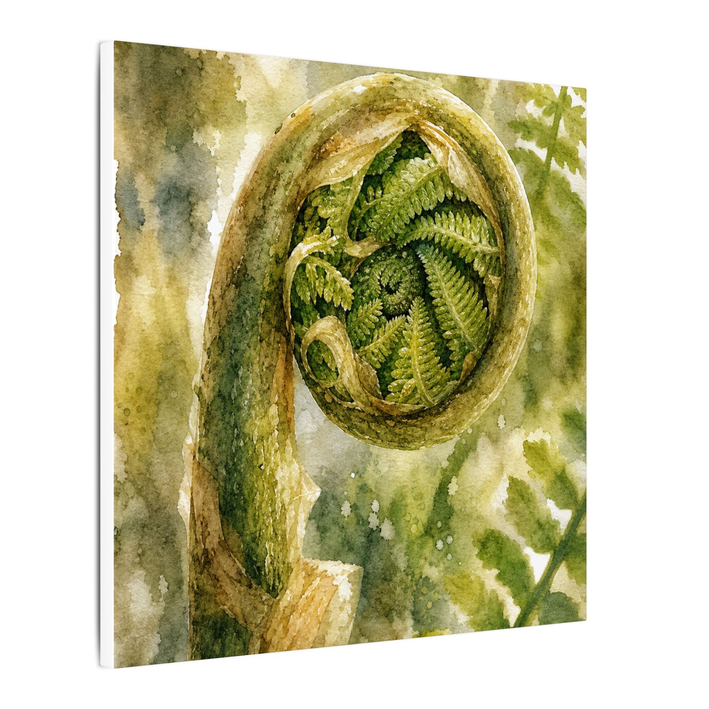 Japandi Fern Unfurling in Dappled | Watercolor Canvas Art