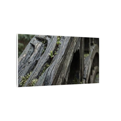 Overcast Wooden Bridge Canvas Art - Japandi Kanso