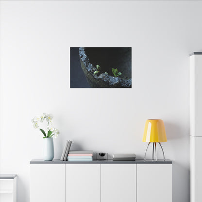 Dark Japandi Ceramic Bowl in Moonlight | Moody Minimal Canvas Art