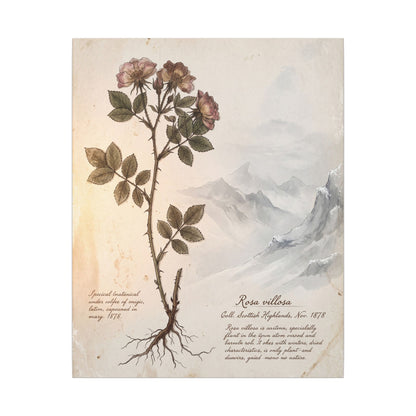 Winter Mountain Mist Herbarium Canvas Art | Earthy Decor