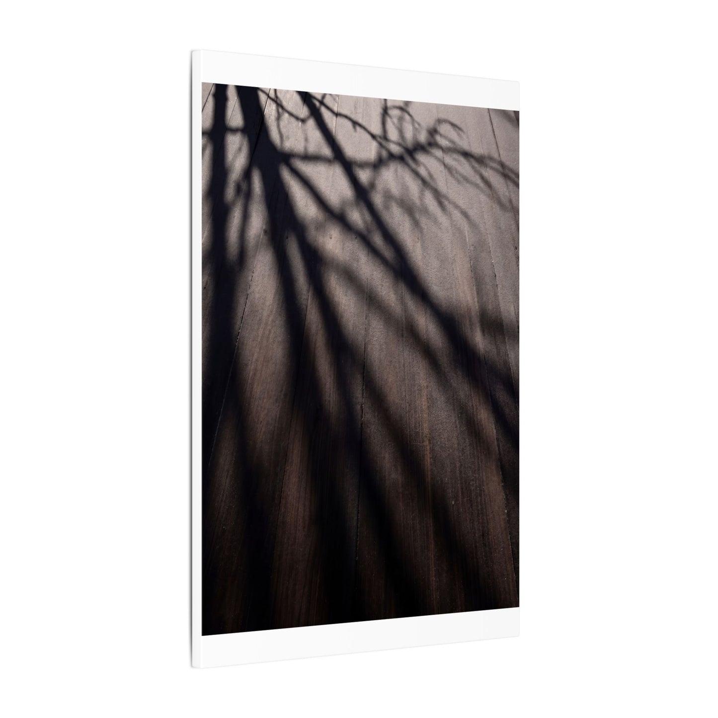 Dark Japandi Shadow Play in Dawn | Moody Minimal Canvas Art