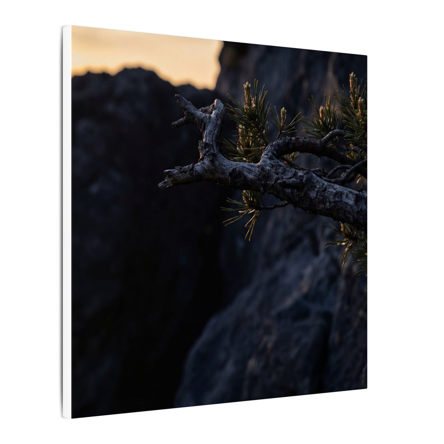 Pine Tree Moody Minimal Canvas Art | Sophisticated Dark Japandi Art