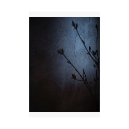 Shadow Play Wall Art Print | Spring Dark Japandi Moody Minimal Art