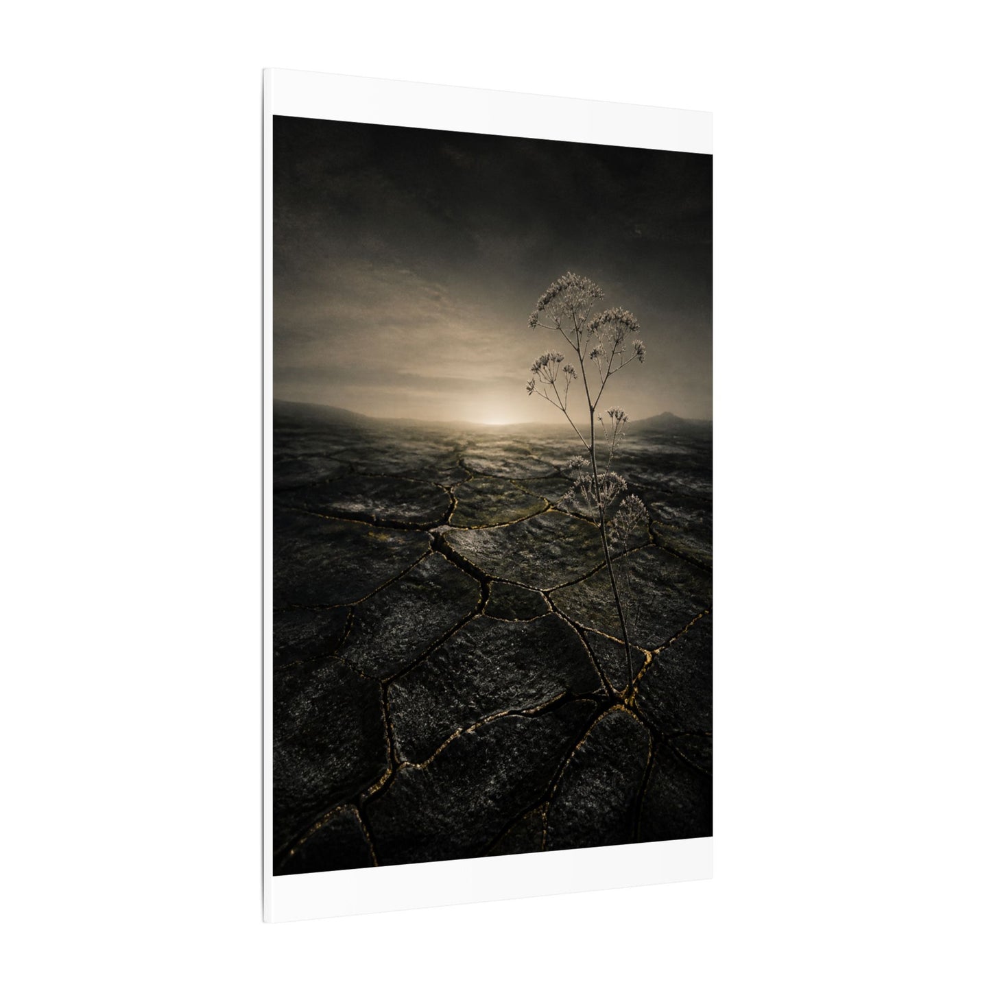 Dawn Cracked Earth Canvas Art - Dark Japandi Mono No Aware