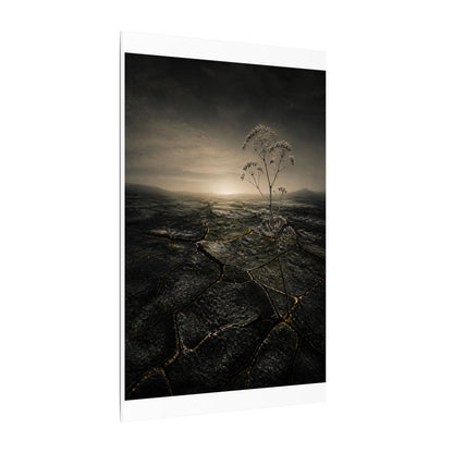 Dawn Cracked Earth Canvas Art - Dark Japandi Mono No Aware