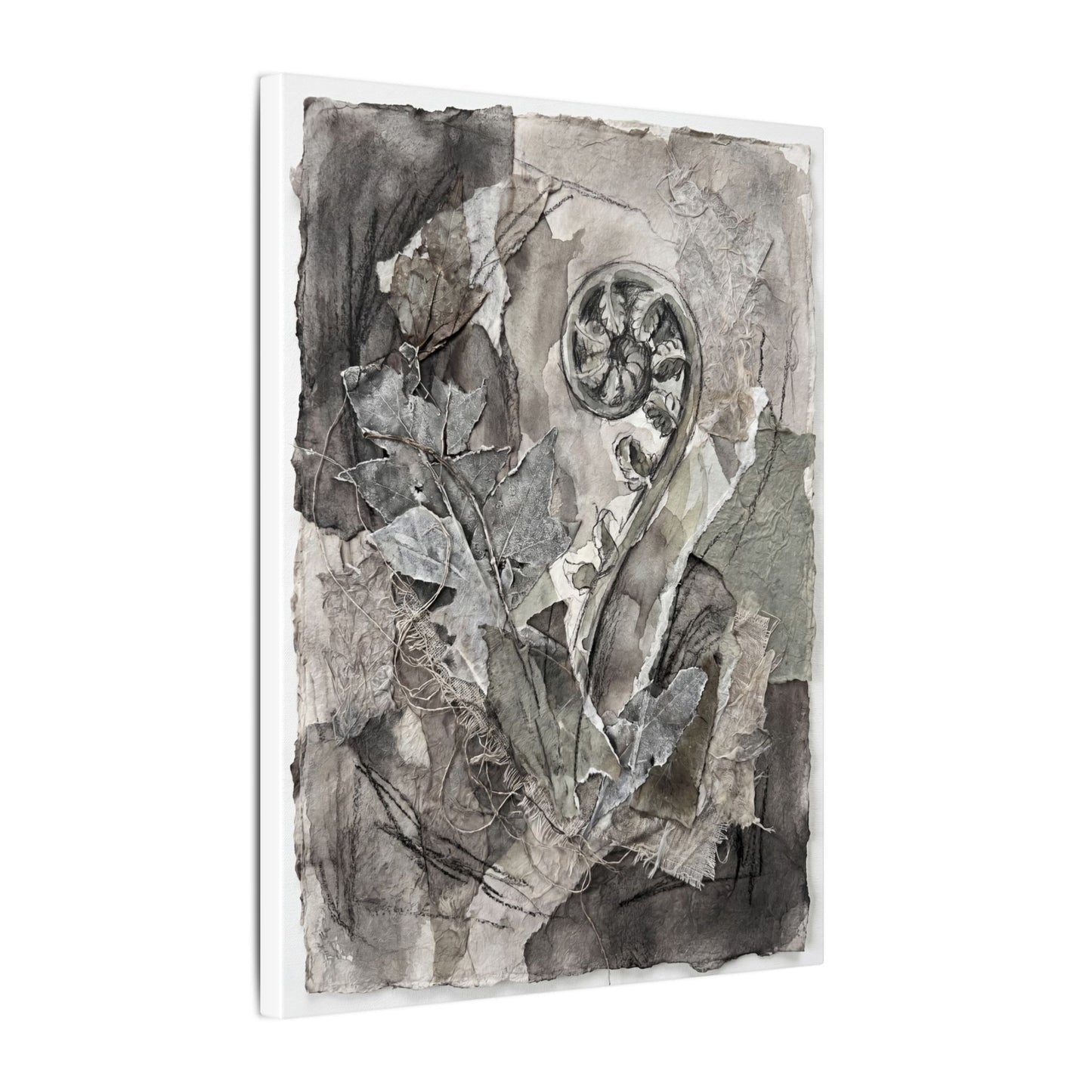 Japandi Fern Unfurling in Overcast | Texture Canvas Art