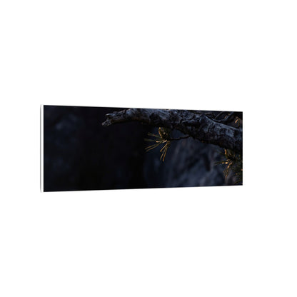 Pine Tree Moody Minimal Canvas Art | Sophisticated Dark Japandi Art