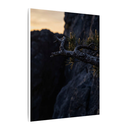 Pine Tree Moody Minimal Canvas Art | Sophisticated Dark Japandi Art