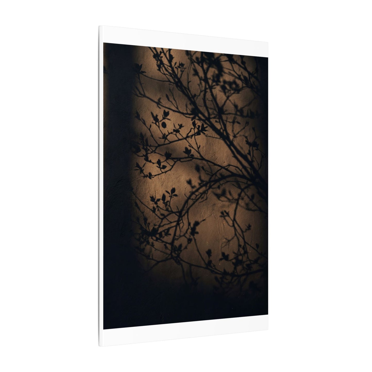 Dark Japandi Shadow Play in Golden Hour | Shadow Zen Canvas Art