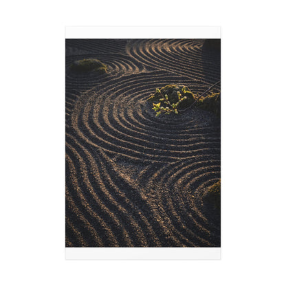 Spring Rock Garden Shadow Zen Canvas Art | Atmospheric Decor