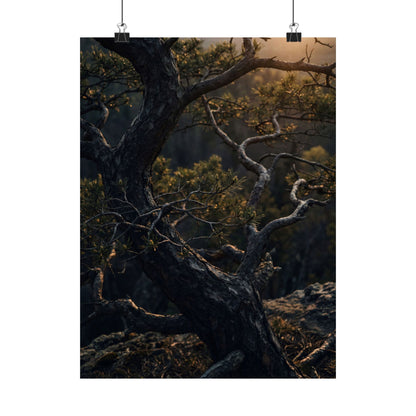 Pine Tree Spring Wall Art Print | Dark Japandi Sophisticated Design Art Print
