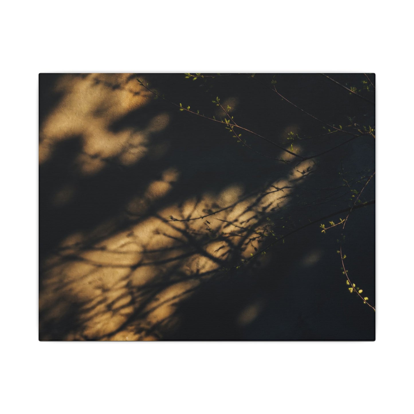 Moody Shadow Play Canvas Art - Moody Minimal Dark Japandi