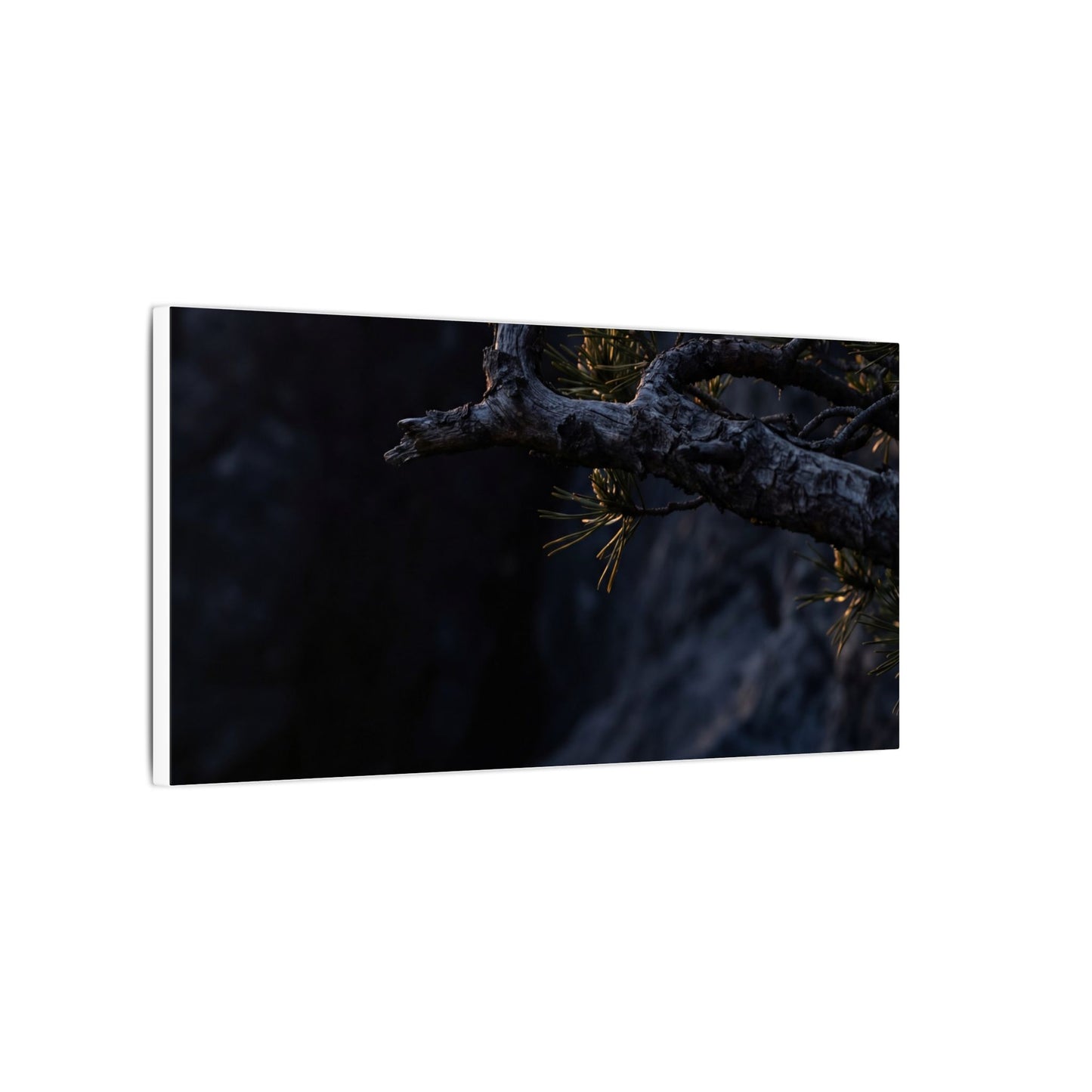 Pine Tree Moody Minimal Canvas Art | Sophisticated Dark Japandi Art