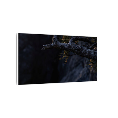 Pine Tree Moody Minimal Canvas Art | Sophisticated Dark Japandi Art