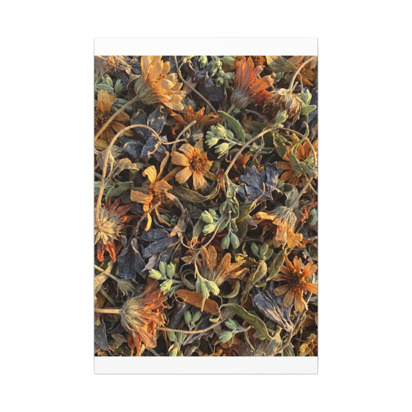 Spring Dried Flowers Japanese Pattern Canvas Art | Warm Decor