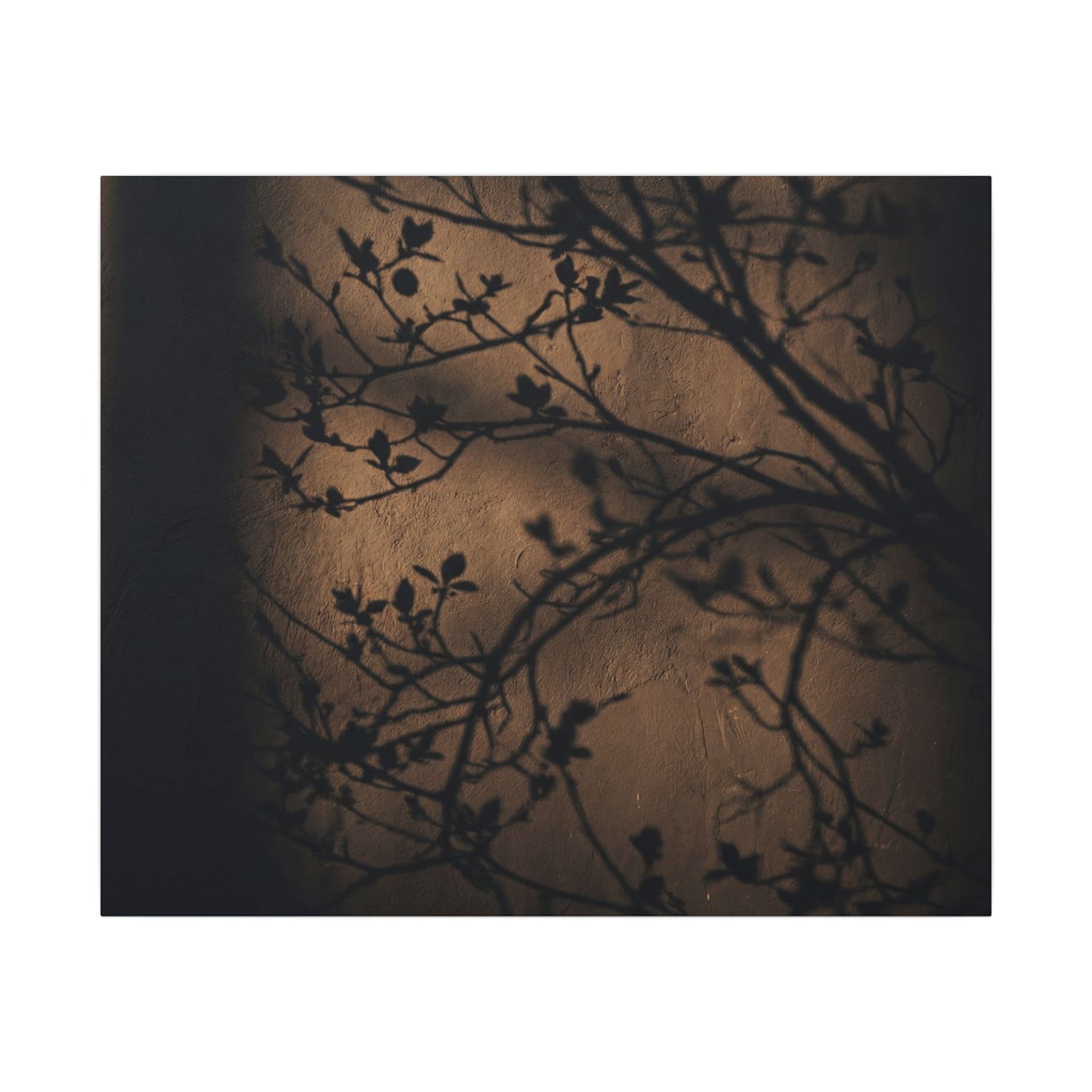 Dark Japandi Shadow Play in Golden Hour | Shadow Zen Canvas Art