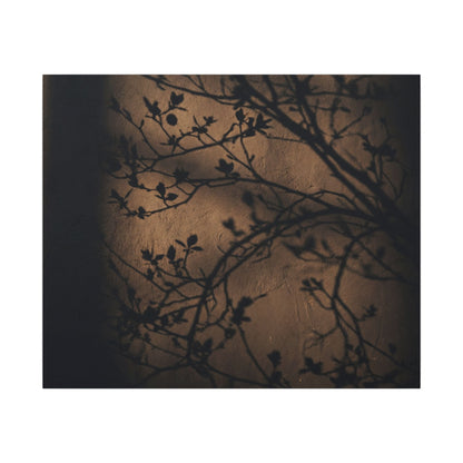 Dark Japandi Shadow Play in Golden Hour | Shadow Zen Canvas Art