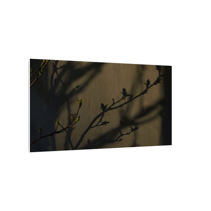 Seijaku Shadow Play Canvas Art - Dark Japandi Charcoal Ink
