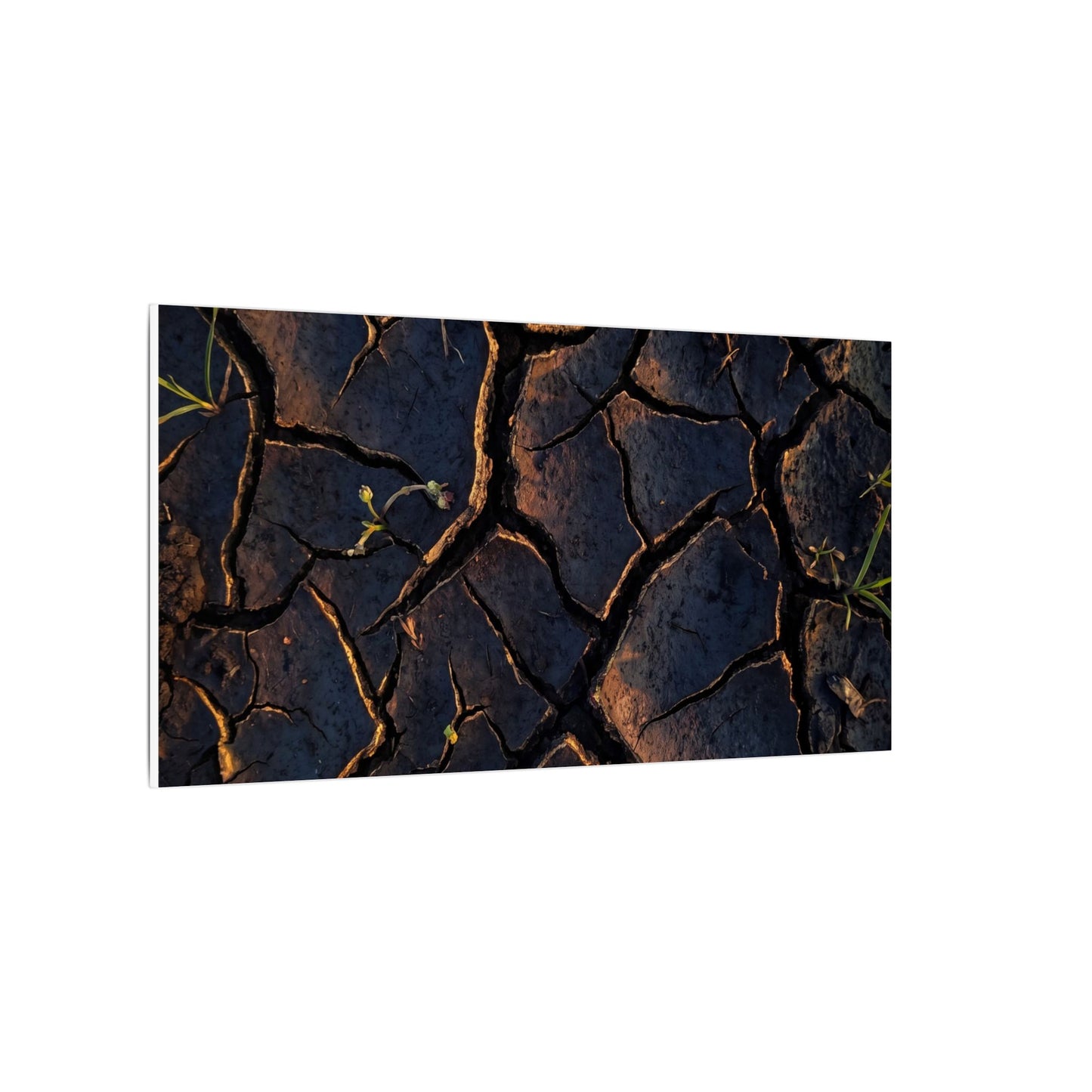 Cracked Earth Moody Minimal Canvas Art | Luxurious Dark Japandi Art