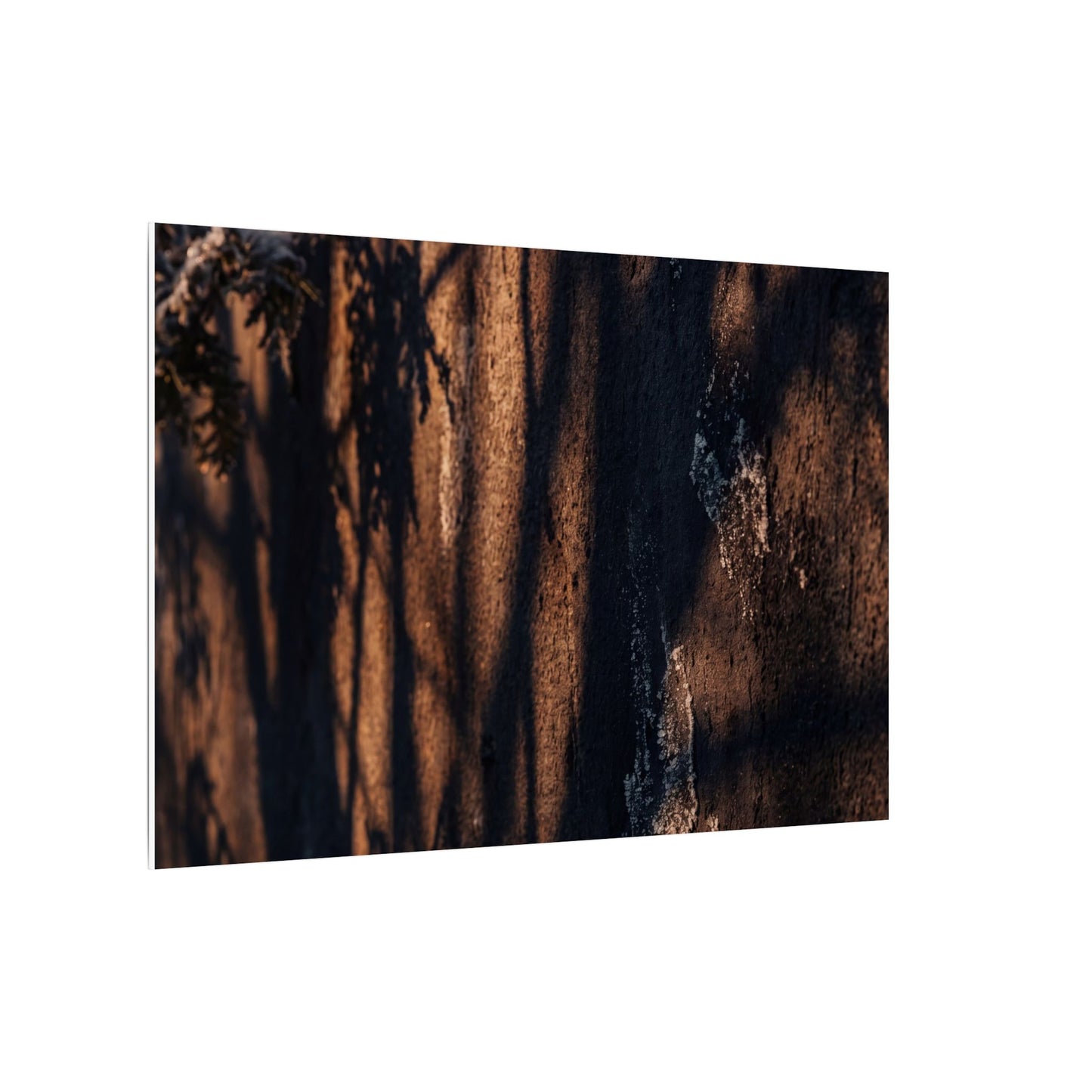 Golden Hour Shadow Play Canvas Art - Dark Japandi Fukinsei