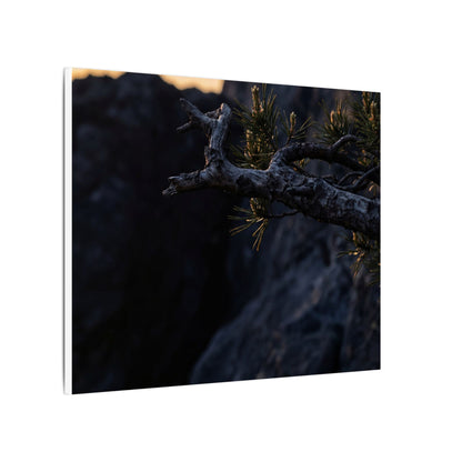 Pine Tree Moody Minimal Canvas Art | Sophisticated Dark Japandi Art