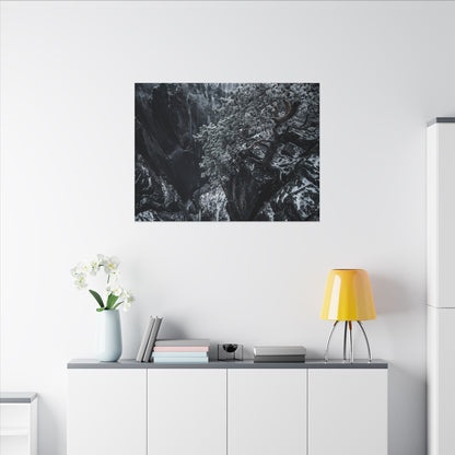 Dark Japandi Pine Tree in Dappled | Dark Texture Canvas Art