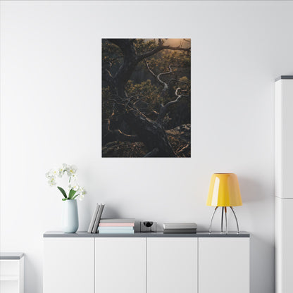 Moody Pine Tree Canvas Art - Moody Minimal Dark Japandi